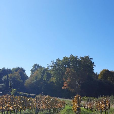 Acero Rosso B&B In Franciacorta Erbusco Ngoại thất bức ảnh